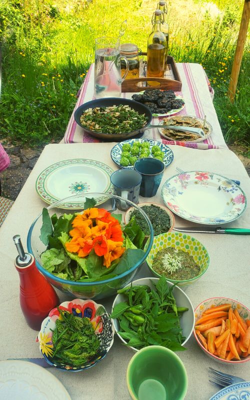 une table dressée avec de nombreuses recettes de plantes sauvages comestibles et de fleurs comestibles