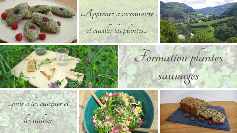 salade de plantes sauvages, recette à base de plantes sauvages, vue de la vallée du Doubs